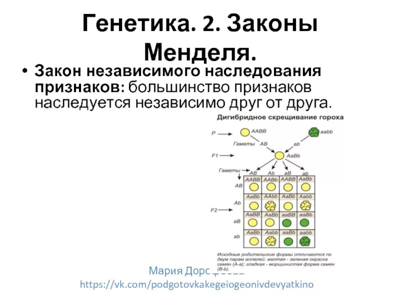 Виды независимого наследования