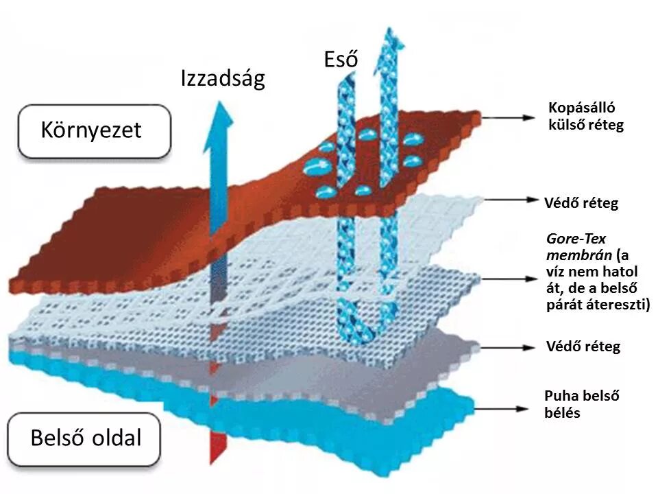 Membrane перевод