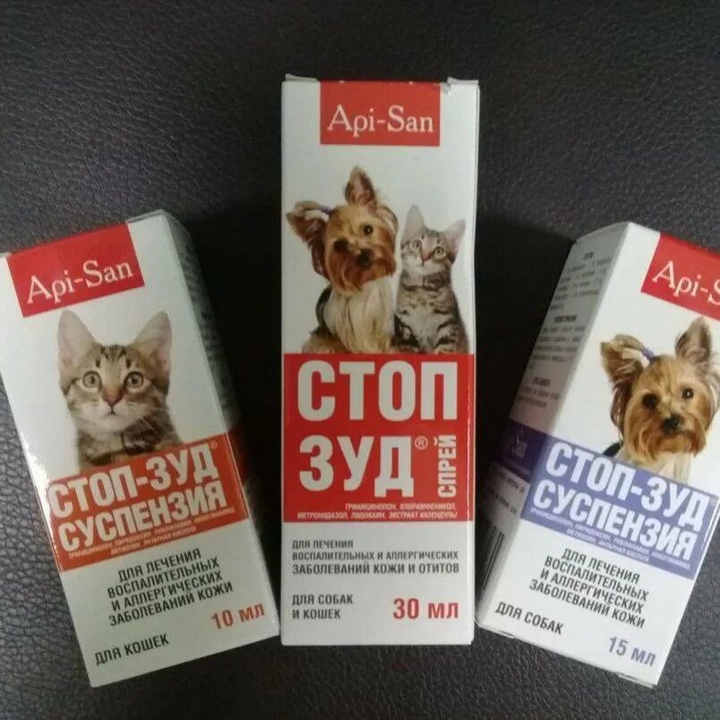 Что давать собаке от аллергии и зуда