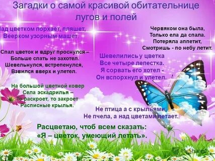 На большой цветной ковер села