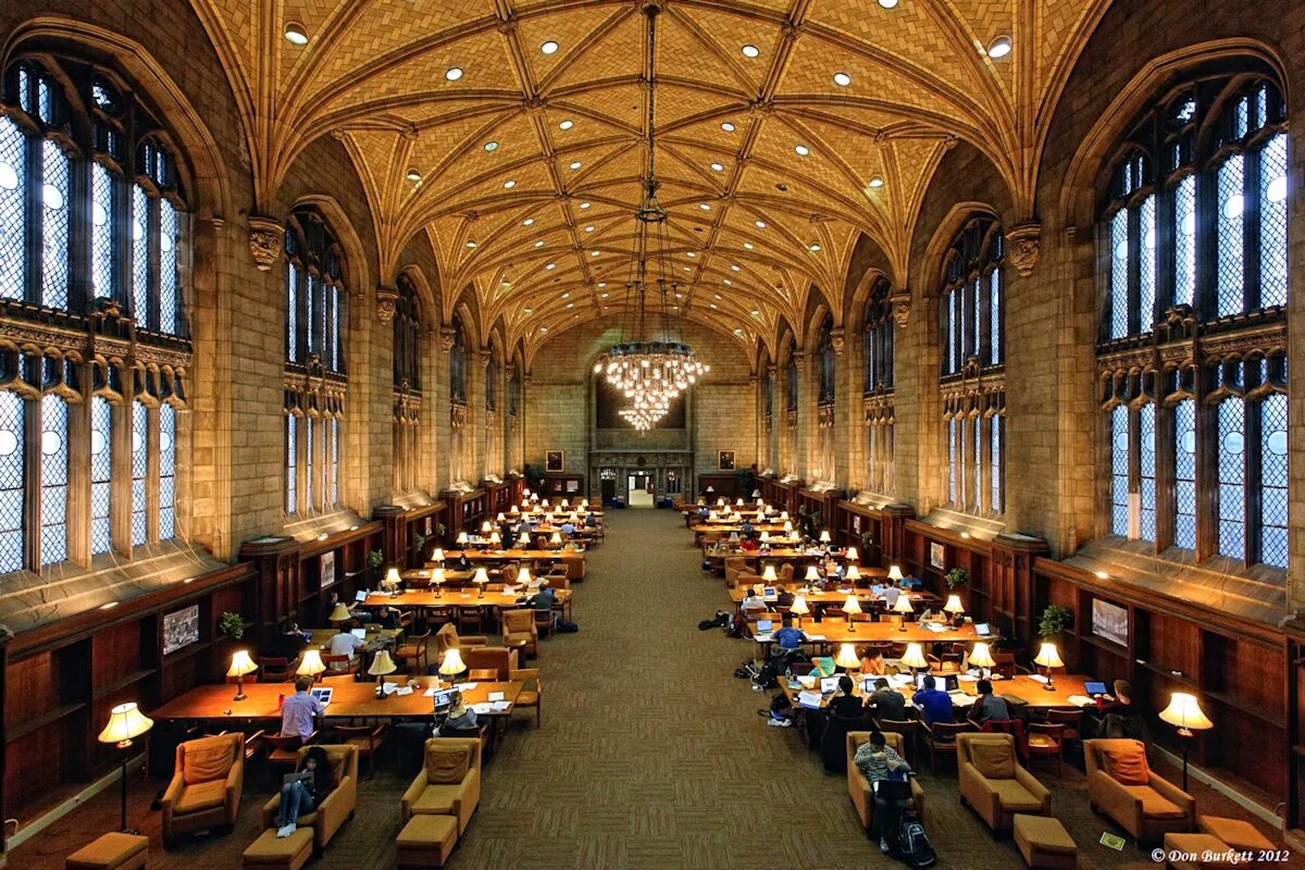 Библиотека Болонского университета. Гарвард Великобритания. Чикагский университет США. Библиотека Чикагского университета.