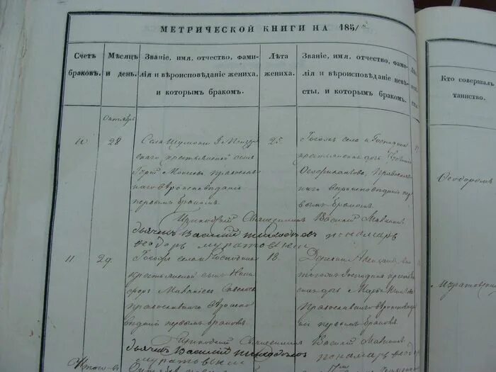 метрическая книга книга. метрическая книга.