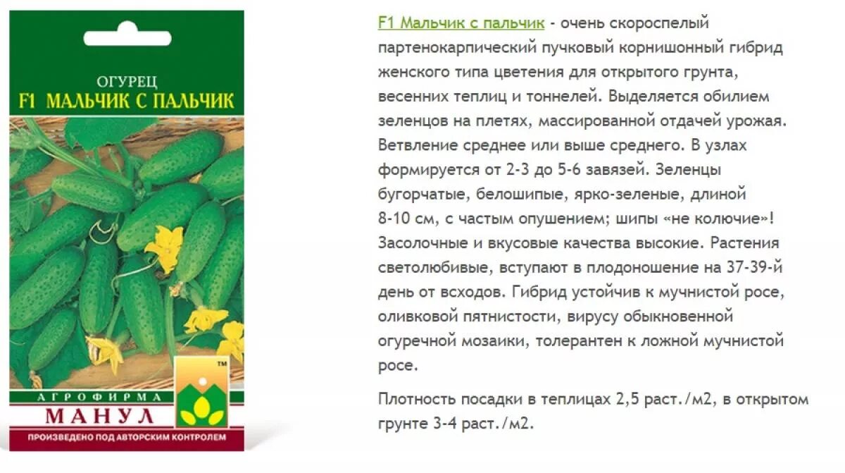 Огурец партенокарпик МАЛЬЧИК С ПАЛЬЧИК F1 (8 шт) / 24-OK.RU - Клуб уСПешных прио