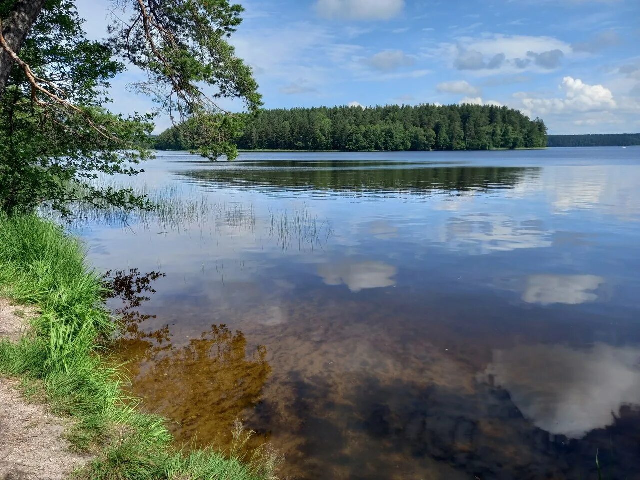 Озеро михайловск. Дружинное озеро Зеленогорск. Дружинное (чёртово) озеро. Дружинное озеро Ленинградская область. Заовражные озера Ленинградская область.