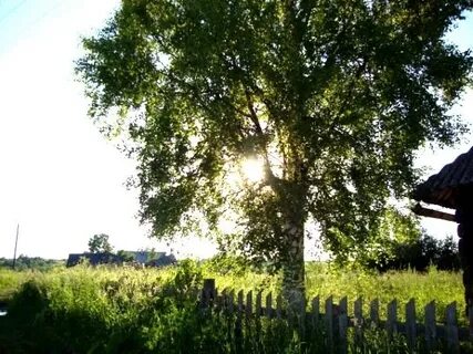 Подслушано конево