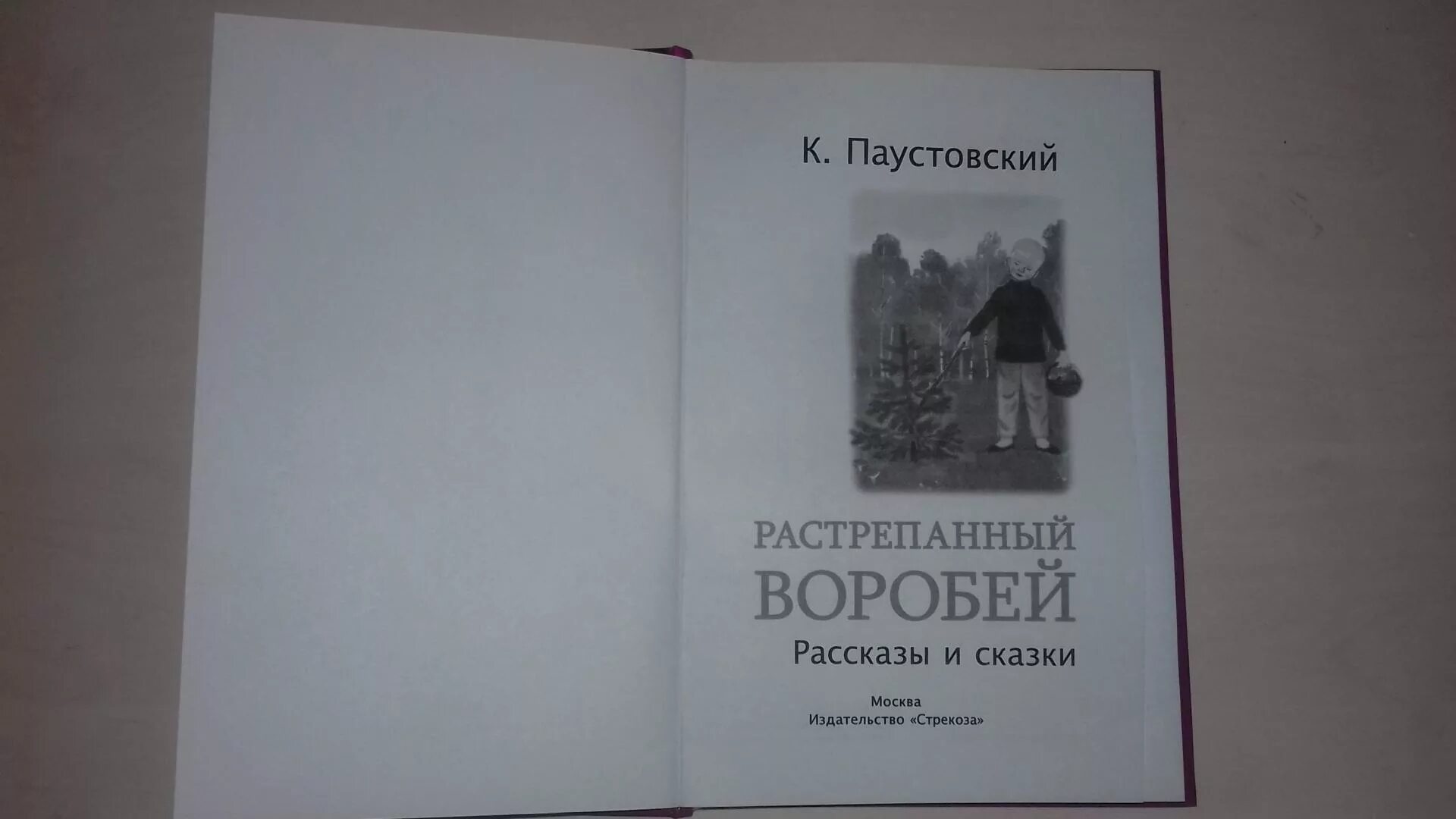 Паустовский поэтическое. Высказывания Паустовского. Паустовский цитаты и афоризмы.