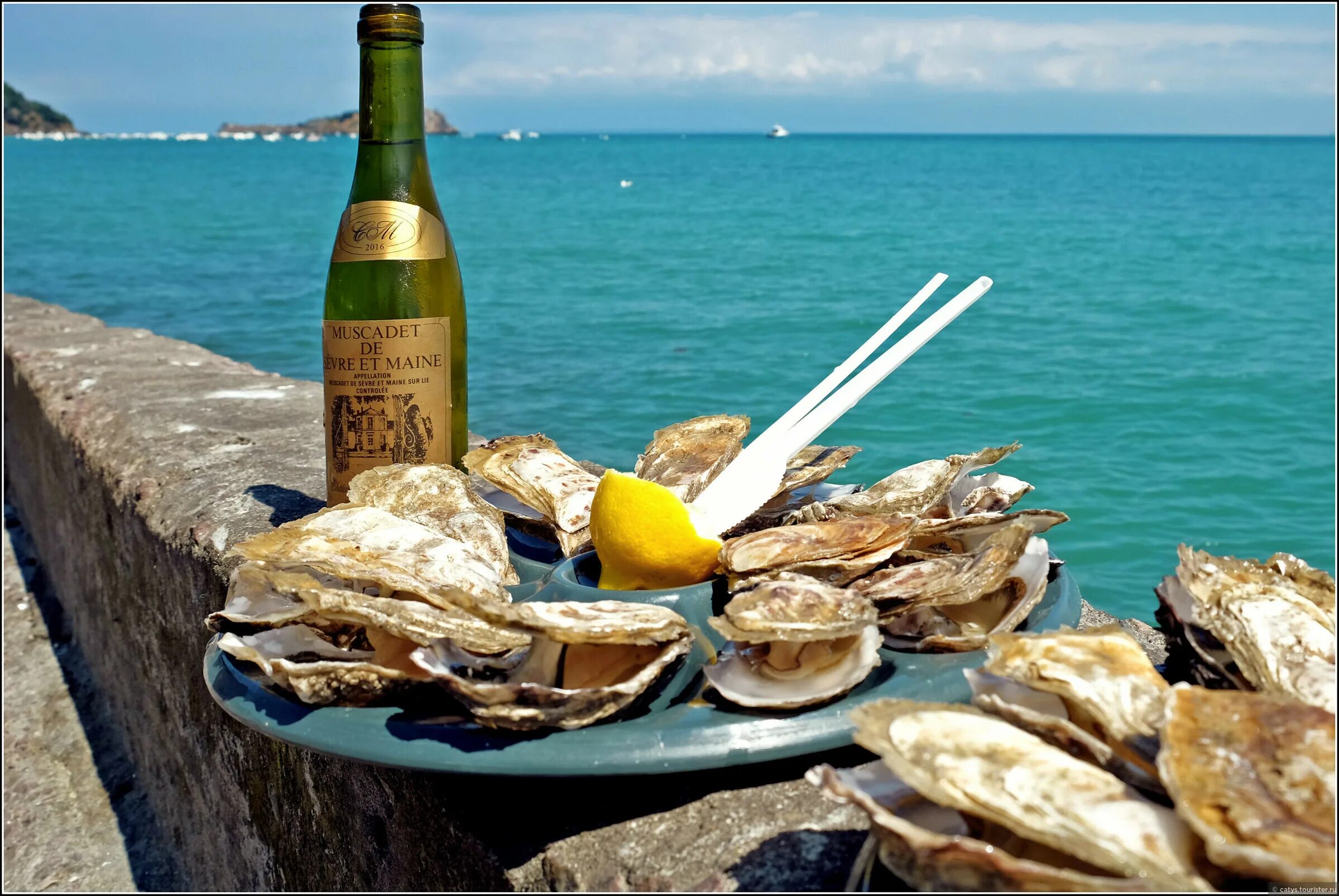 белое сухое вино под устрицы 5 букв. устрицы и вино. нормандия устрицы. белое сухое вино под устрицы 5 букв. белое сухое вино под устрицы 5 букв.