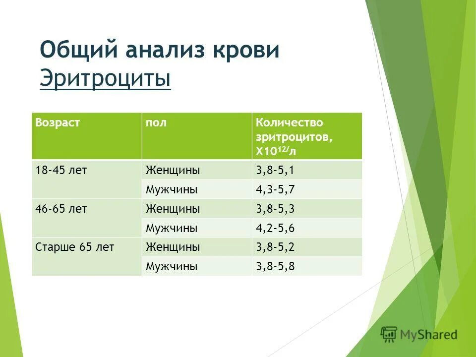 Анализы первого дня