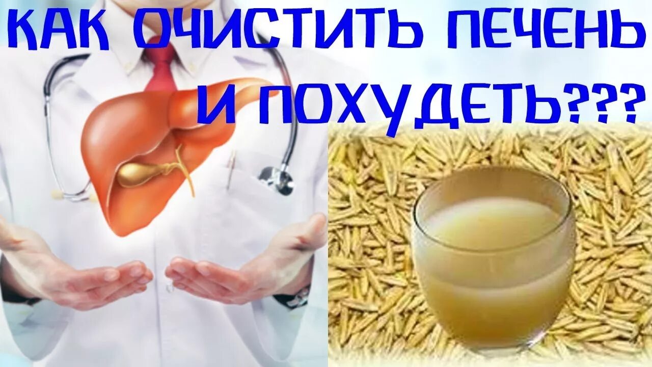 Овес для поджелудочной железы и печени