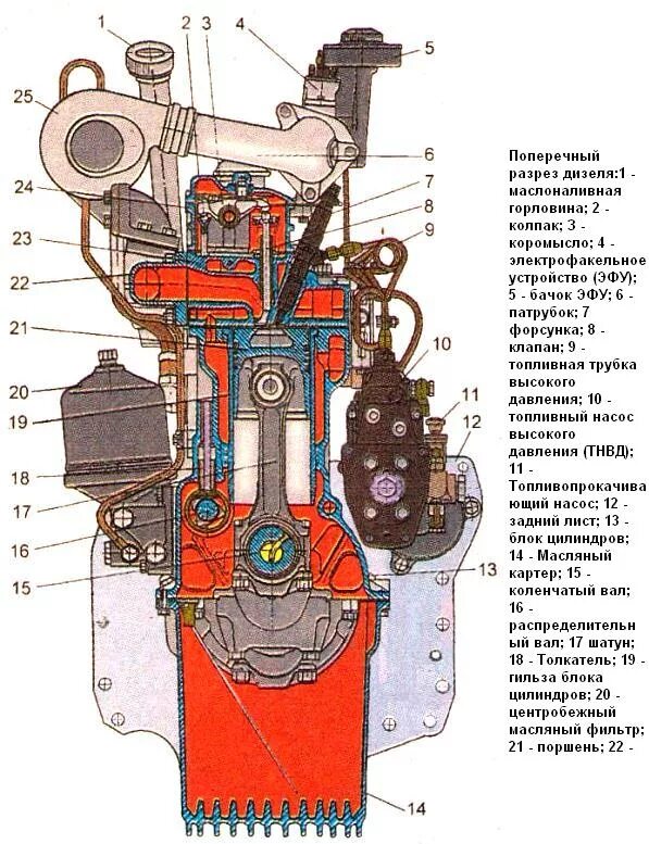 Двигатель д 245 дизель. Схема цилиндров д 245 евро 3. Масляные каналы в блоке цилиндров д245. Двигатель 245 дизель в разрезе.