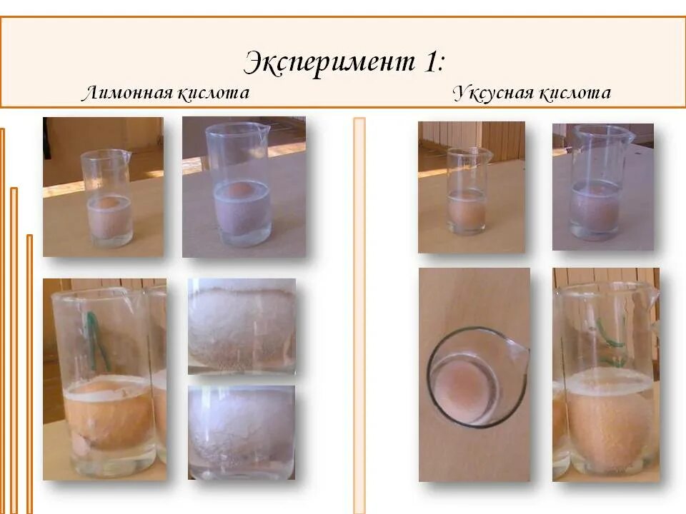 Experiment 1