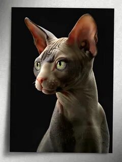 Египетская кошка без