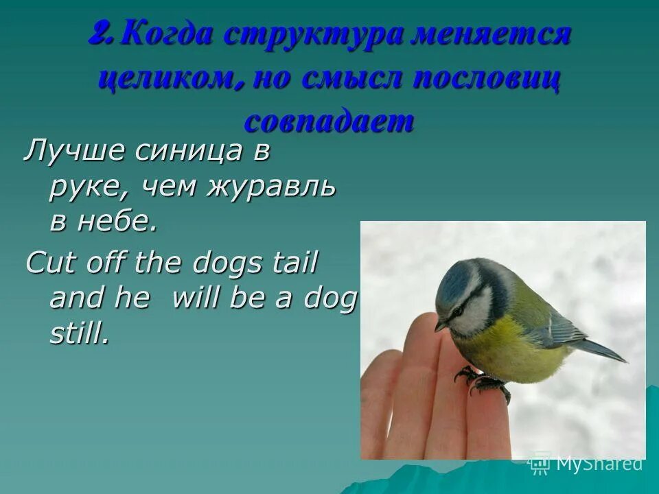 Лучше журавль в небе. Синица в руках лучше журавля в небе. Синица в руках журавль в небе значение. Синица в руках журавль в небе значение. Синичка в руках чем журавль в небе.