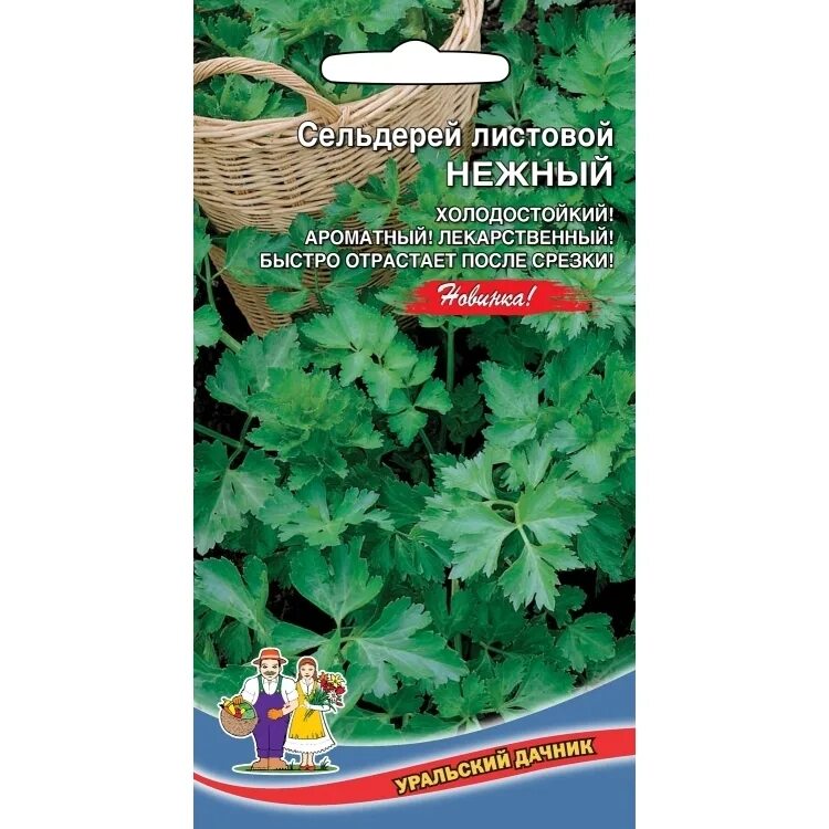 Сельдерей нежный. Семена сельдерей листовой "нежный". Сельдерей Уральский Дачник. Сельдерей листовой нежность. Сельдерей листовой нежный 0,5г поиск.