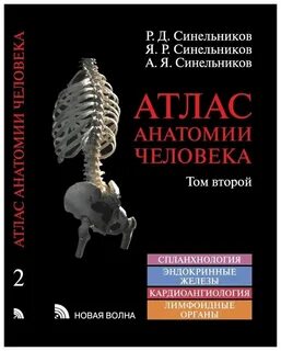 Атлас синельникова 3 тома