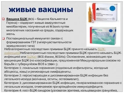 Анатомическая область введения вакцины бцж тест