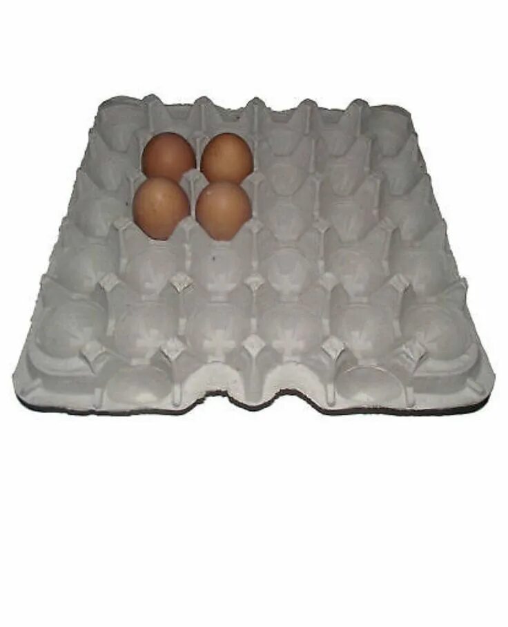 Решетки для яиц купить. Лоток для перепелиных яиц на 20 яиц. Лоток для перепелиных яиц на 20 яиц перепелиных. Картонный лоток для яиц. Картонная упаковка для яиц.