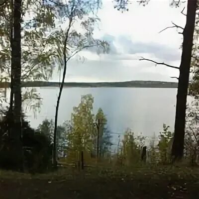 Пискаревка кавголово