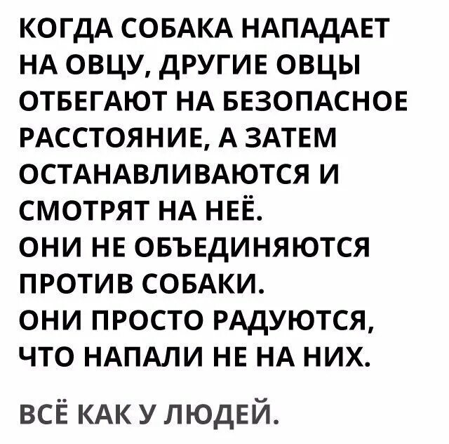 Остановись и посмотри