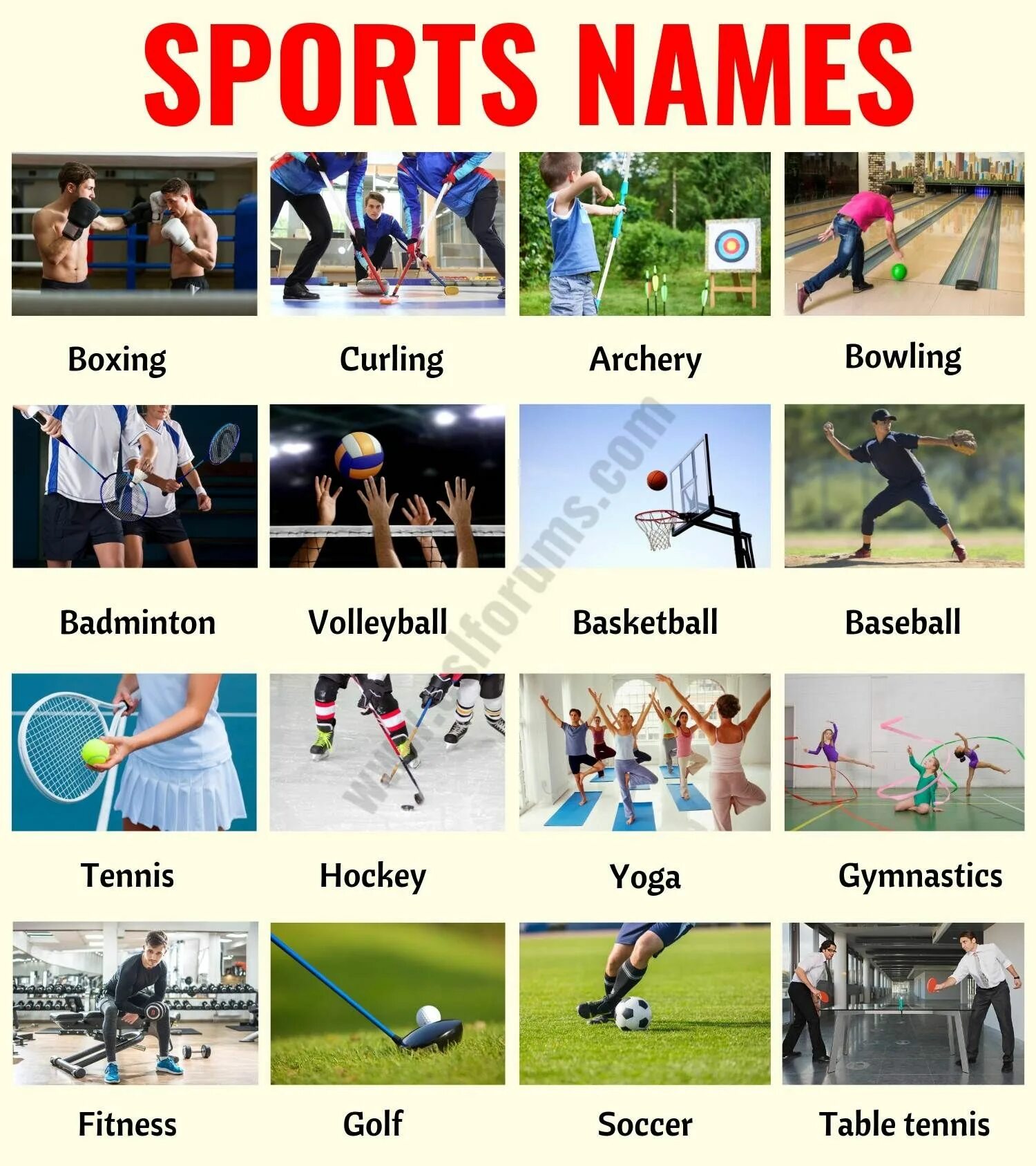 Name 5 sports