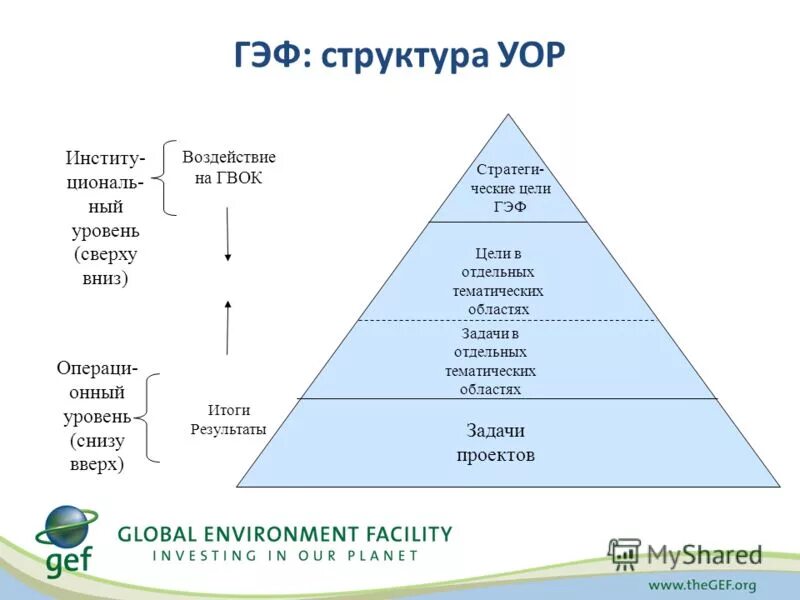 Название уровней групп. Глобальный экологический фонд цели и задачи. Глобальный экологический фонд. ГЭФ. Чем занимается ГЭФ.