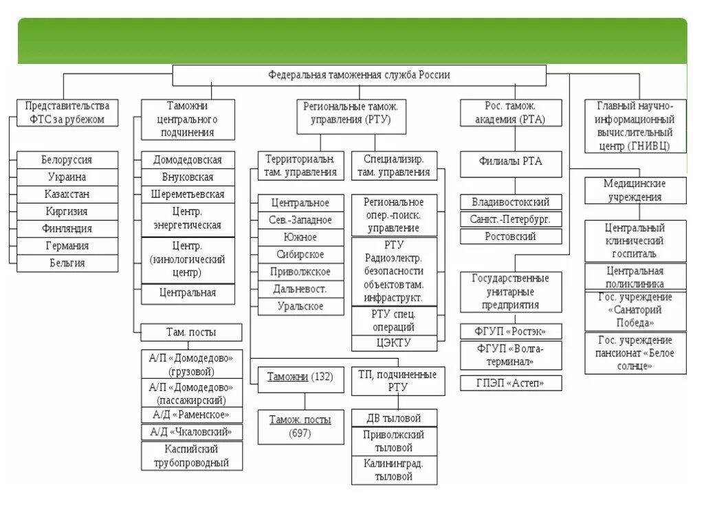 Сколько служб украина. Структура ФТС России схема 2023. Схему управления (организационную структуру) таможенных органов РФ. Структура центрального аппарата ФТС России схема. Организационная структура ФТС России схема.