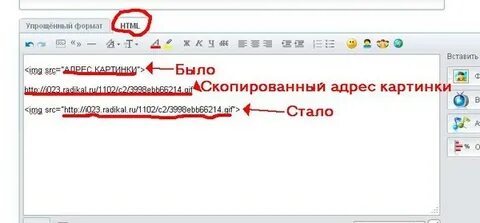 Любой адрес скопировать