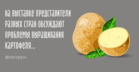 Ваня картошка