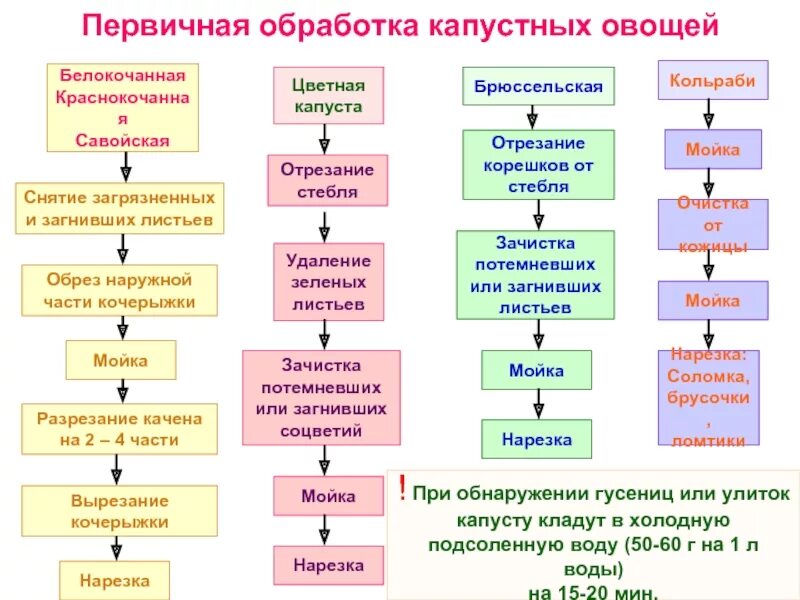 Схема механической кулинарной обработки корнеплодов. Технологическая схема обработки овощей. Схема механической обработки клубнеплодов и корнеплодов. Технологическая схема обработки корнеплодов. Технологическая обработка производства