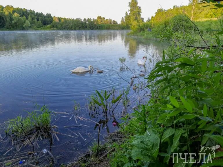 Товарищество озеро. Вазузское водохранилище снт чайка фото. Товарищество озеро. Товарищество озеро. Коттеджи в башкирии у озера.