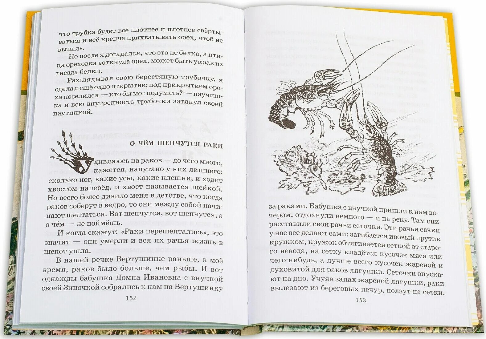 М. Рачков иллюстрации к сказкам. Рисунок. Пришвин о чем шепчутся раки текст. М.