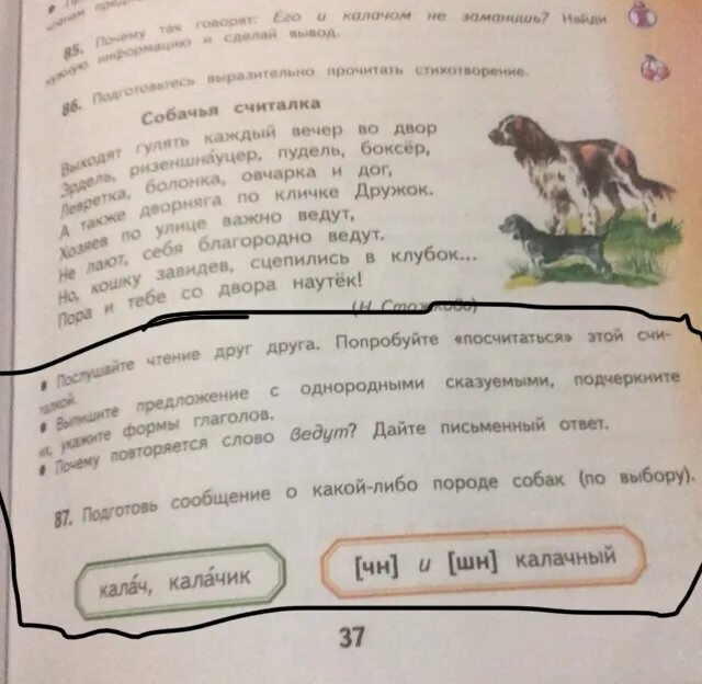 Выразительно прочитайте текст озаглавьте его рассмотрите рисунок. Собачья считалка выпишите предложение с однородными. собачья считалочка. подготовьтесь выразительно прочитать стихотворение ответы. ведут письменный ответ.