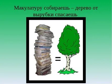 Сколько деревьев спасает макулатура