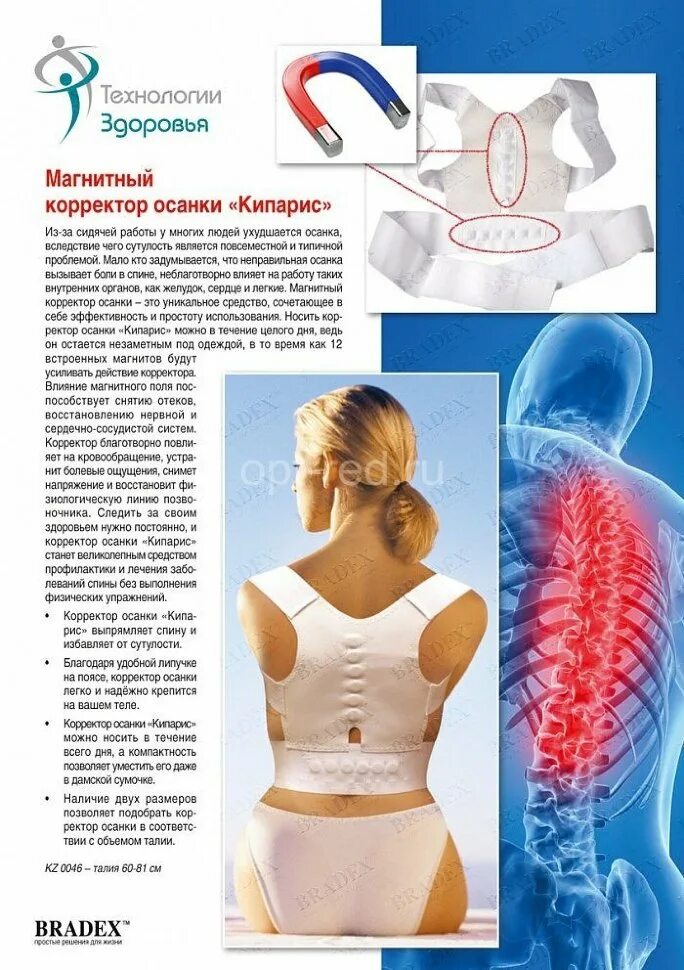 Магнитный корректор осанки spinfix. Корректор осанки инструкция. Как пользоваться корректором осанки правильно. Корректор осанки белпа-мед. Корректор осанки orlett tlso.