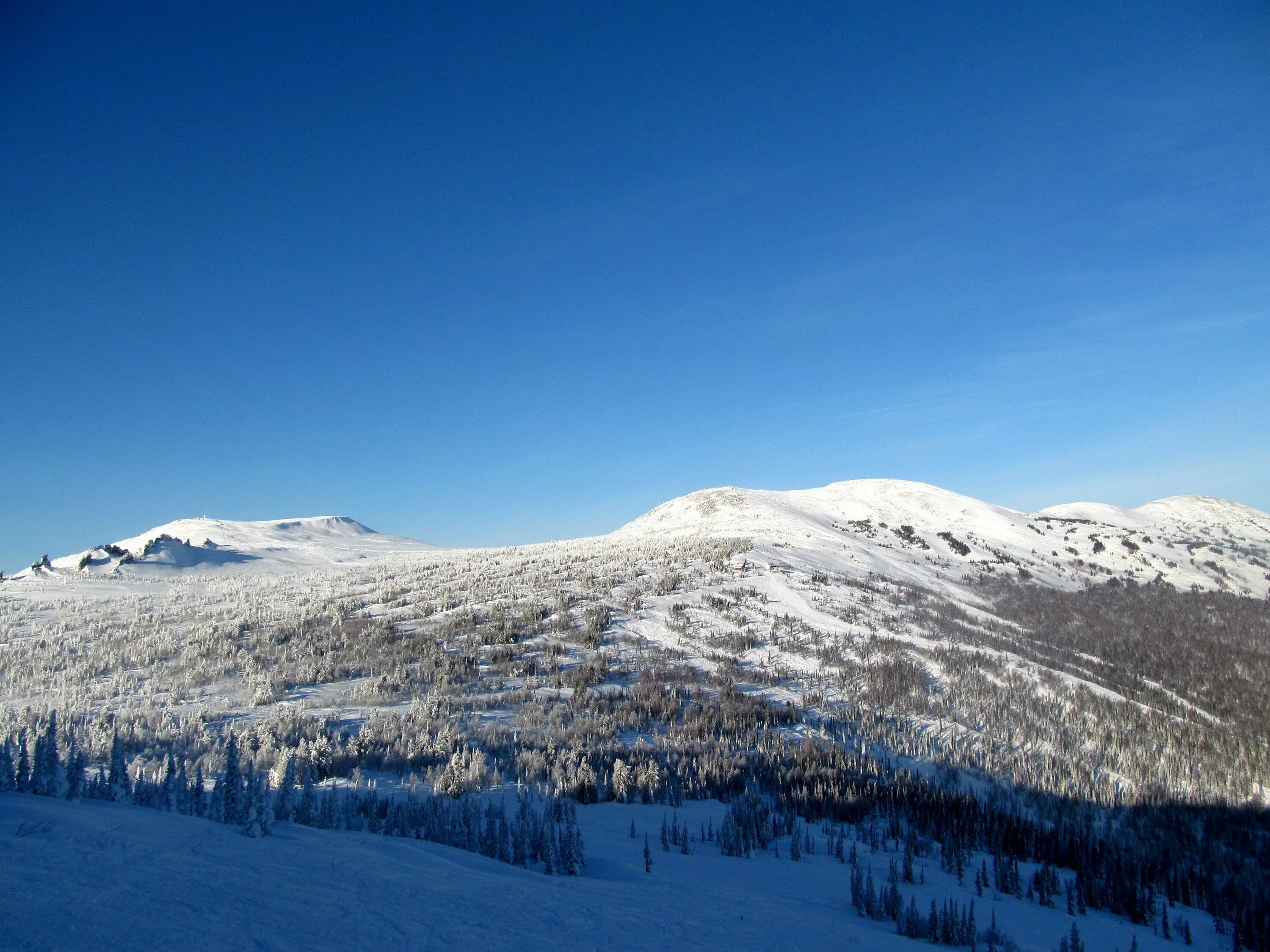 Горная шория мустаг. Гора мустаг кемеровская область. Вершина мустаг шерегеш. Гора мустаг шерегеш высота. Горная шория мустаг.
