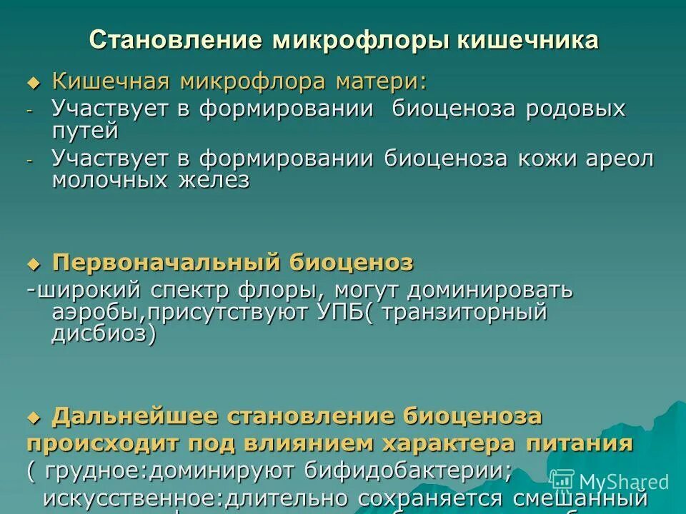 Причины возникновения дисбактериоза. Нормальная микробиота кишечника. Изменения в микрофлоре кишечника приводят. Нормальная кишечная микрофлора. Дисбактериоз микрофлоры кишечника.