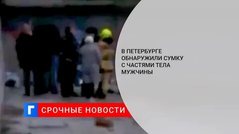 В сумке обнаружила