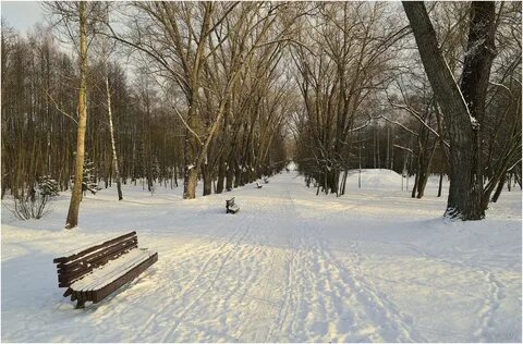Аллея авторов