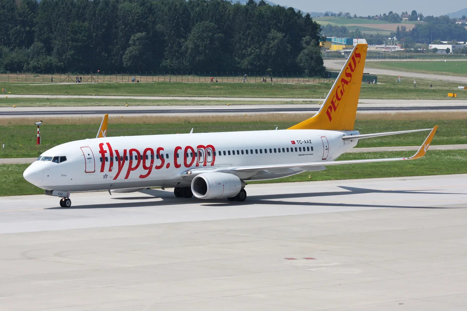 Боинг 737-800 пегасус. Pegasus airlines авиакомпании турции. Авиакомпания pegasus airlines. Пегасус турецкие авиалинии. Пегасус эйрлайнс самолеты.