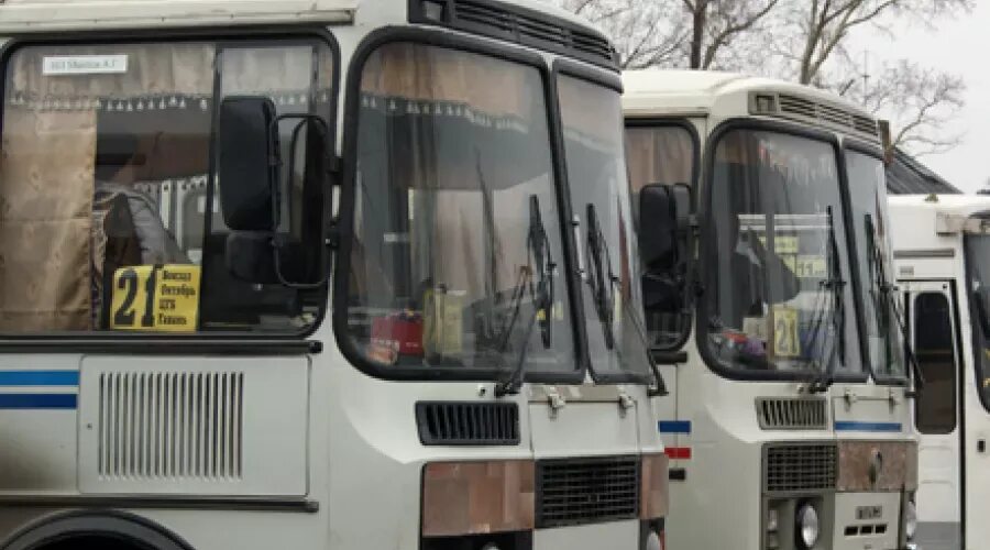 131 автобус бийск. Бийские автобусы. автобусы бийск. бийск автобус 451. бийск автобус 532.