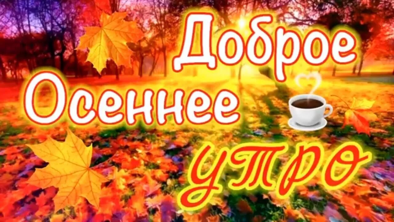 Поздравление с добрым осенним утром видео. Доброе осеннее утро субботы. с добрым осенним субботним утром. картинки с добрым утром субботы осенние. доброе утро субботы прикольные осенние.
