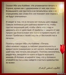 Сказал ибн