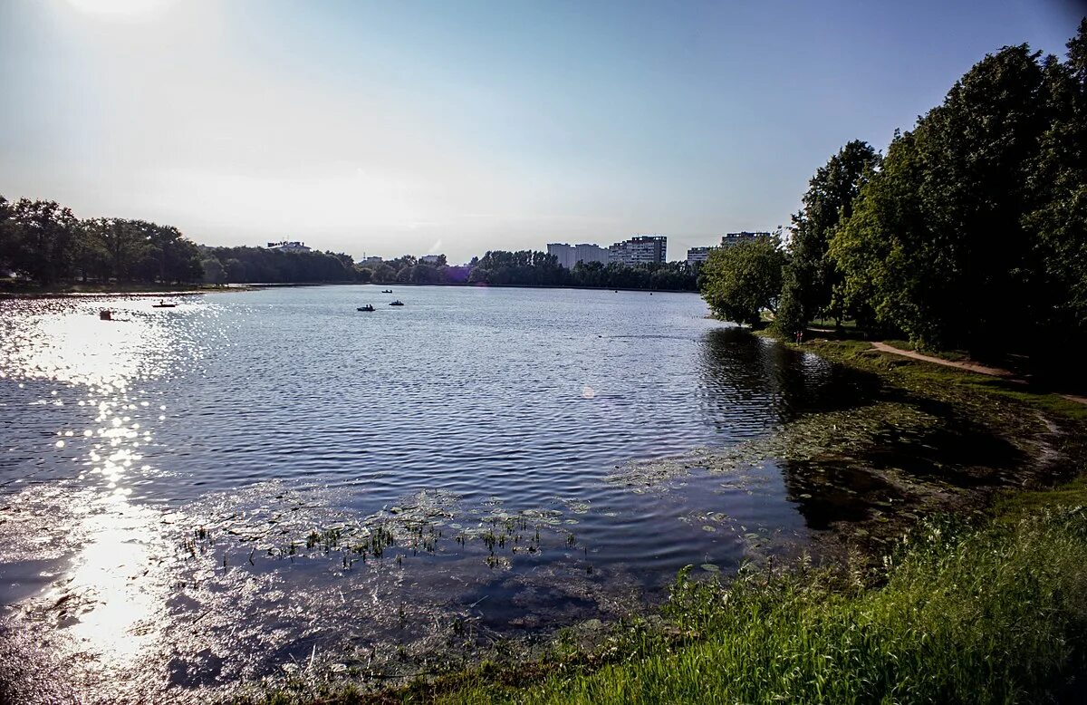Головинские пруды москва пляж. Головинские пруды москва. Парк усадьба михалково. Парк усадьба михалково пляж. Головинский парк москва.