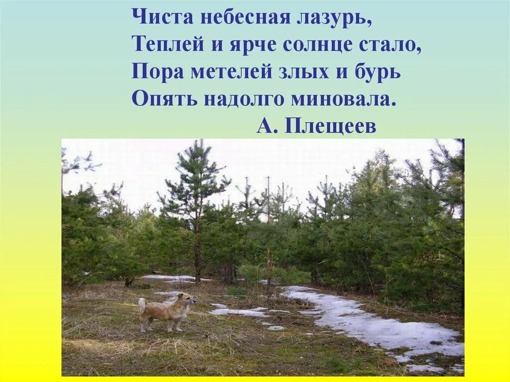 Пора метелей злых. Чиста небесная лазурь теплей и ярче солнце стало пора. чиста небесная лазурь, теплей и ярче солнце стало, пора метелей злых. чиста небесная лазурь.... чиста лазурь теплей и ярче солнце стало.