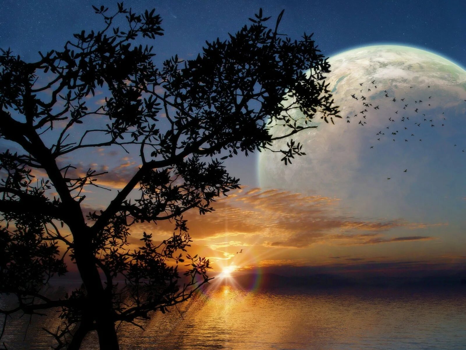 Луна и солнце на небе одновременно. Ночью Луна солнце. Пейзаж с луной. Луна на рассвете. На далеком небосклоне