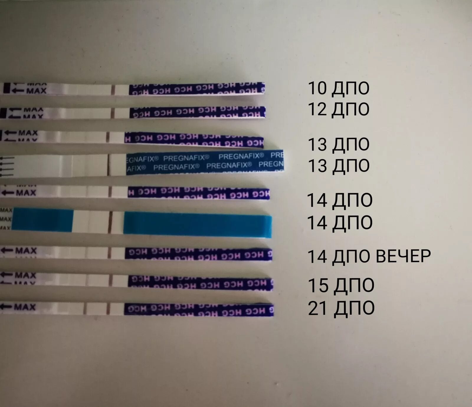 Тест 9 динамика. Динамика тестов на беременность. Динамика беременности по тестам. Динамика положительных тестов. Динамика тестов после задержки.