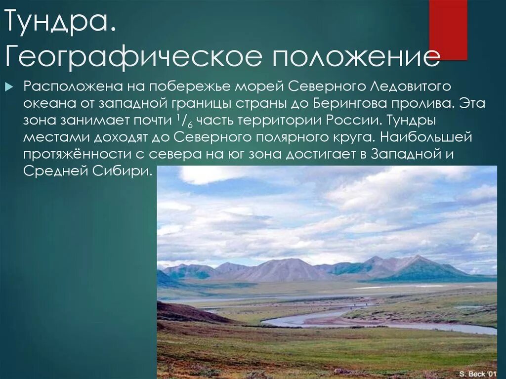 Характеристика тундры в россии. Природная зона тундра климат. Природная зона тундра географическое положение. Рельеф тундры в России. Тундра географии положение.