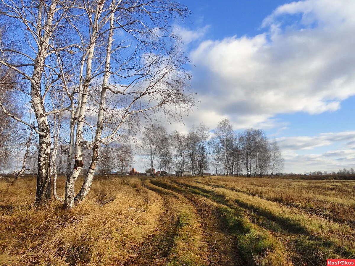 Поздней осени какое число. Поздняя осень. Пейзажи средней полосы России. Русская природа поздняя осень. Пейзаж. Осень. В. деревне.