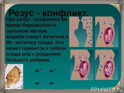 Беременность разные резусы