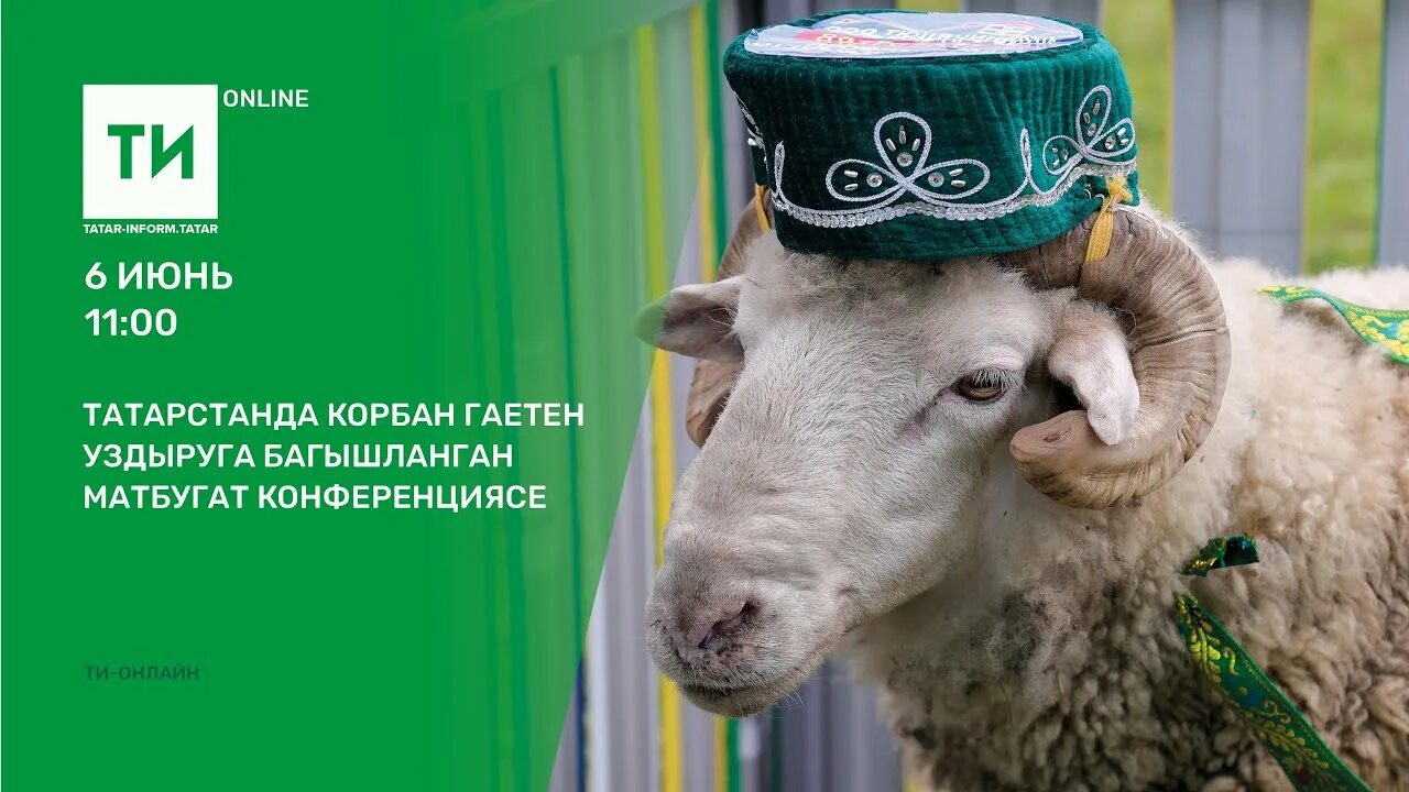 С праздником Корбан бәйрәме. Корбан 2023 году. Корбан Найт 2022 2023. Маленький Рафис Корбан.